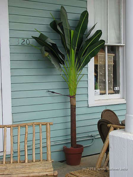 IMG_0650.JPG - It means this!