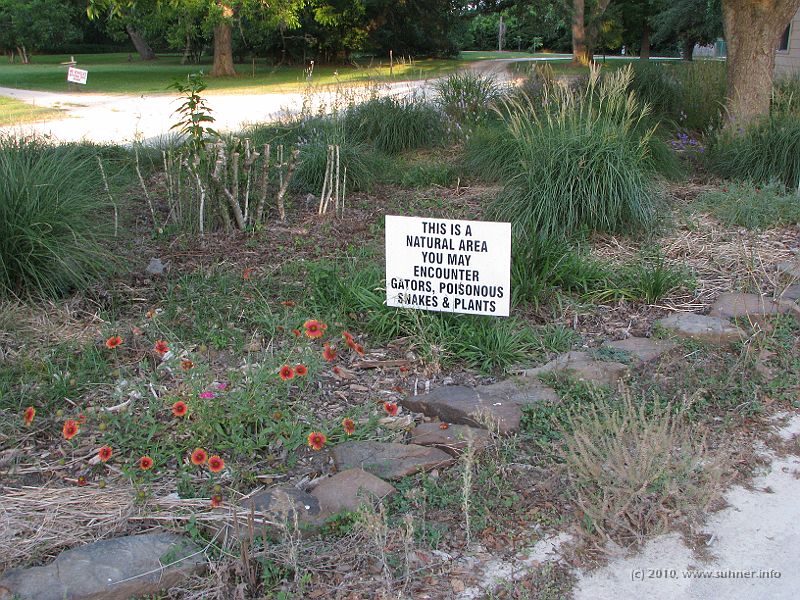 IMG_0782.JPG - ...the second one...