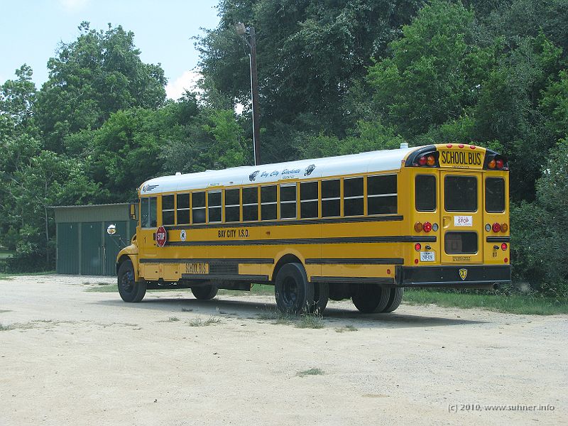IMG_0923.JPG - Suddenly, a school bus arrived and spit out a bunch of noisy children - all birds gone! Me too...