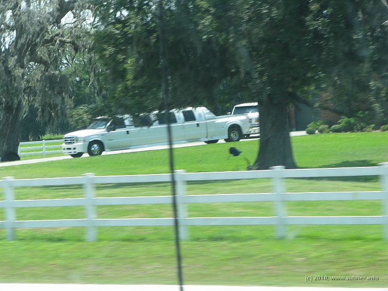 IMG_0955.JPG - And still crazy Americans...