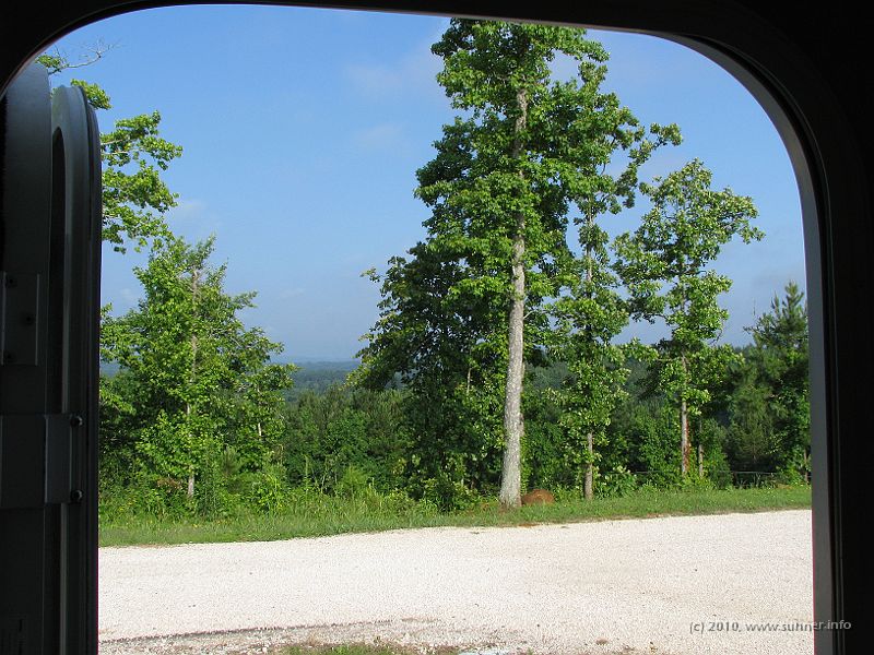 IMG_1161.JPG - And the following morning!