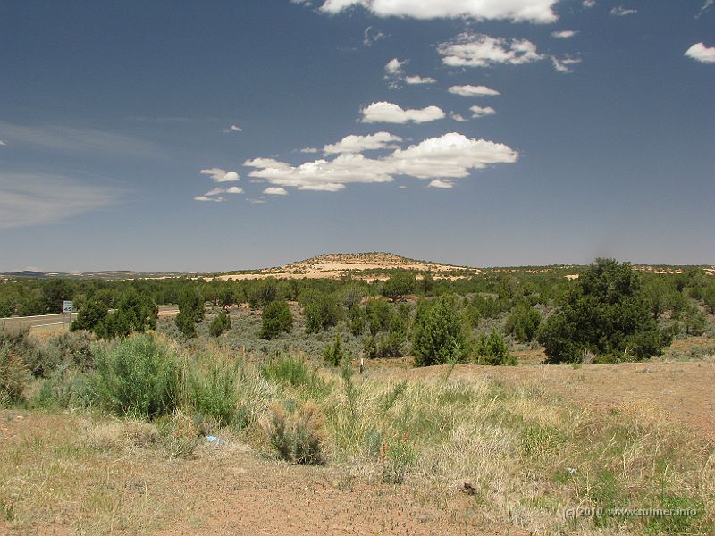 IMG_1490.jpg - Finally some green and the landscape changes again towards something a bit more pleasant