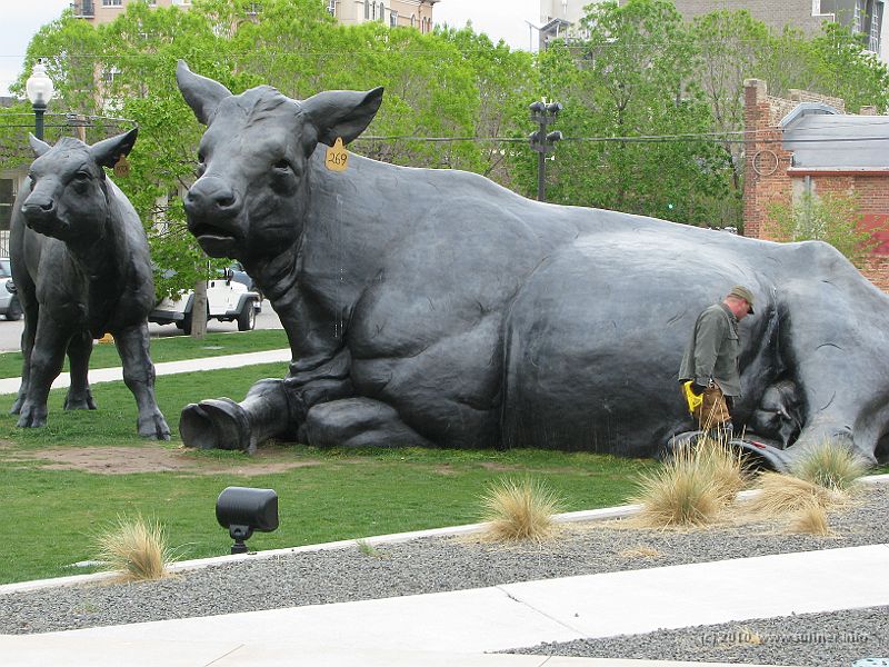 IMG_1033.jpg - And - did I mention it already? It's HUGE over there...