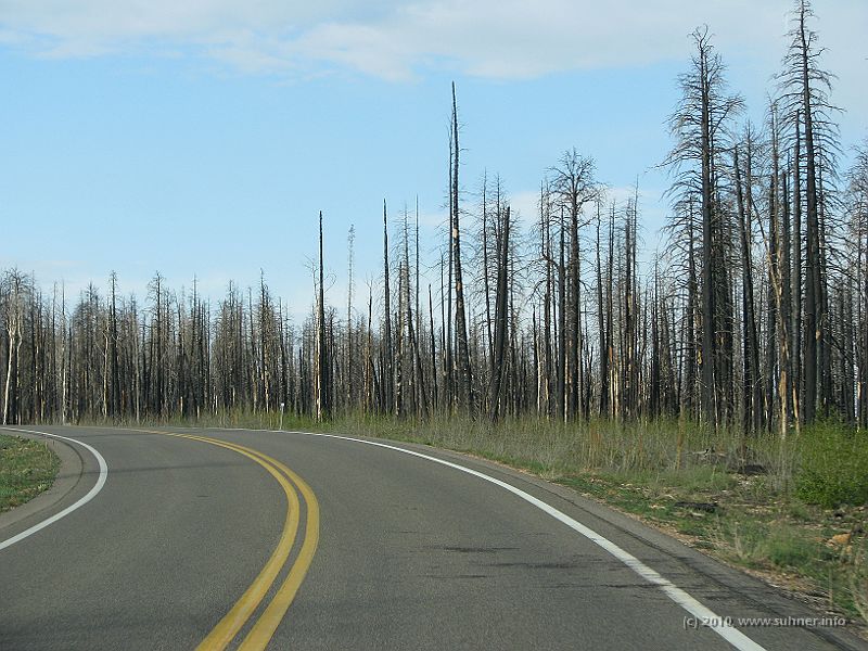 IMG_1631.jpg - Driving towards North Rim reveals huge areas destroyed by forest fires.