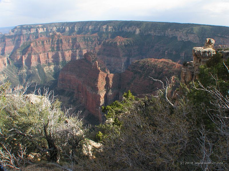 IMG_1674.jpg - Spectacular shapes and colours - why should one comment such beauty any further?