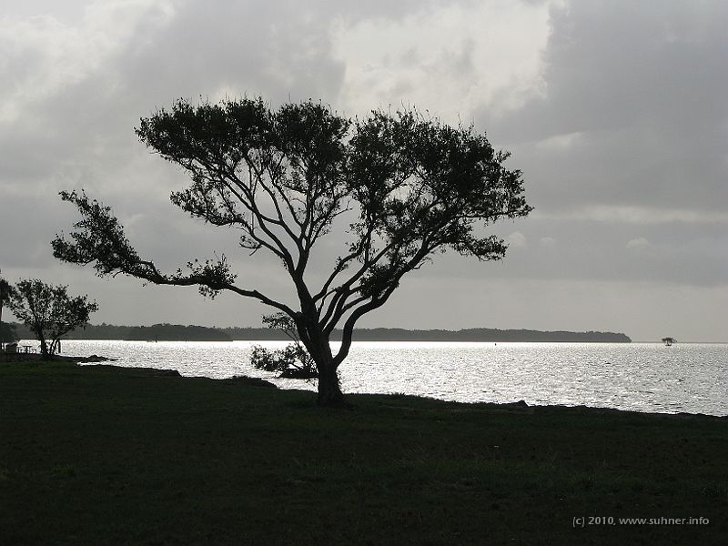 IMG_2694.JPG - Evening walk at Flamingo Bay