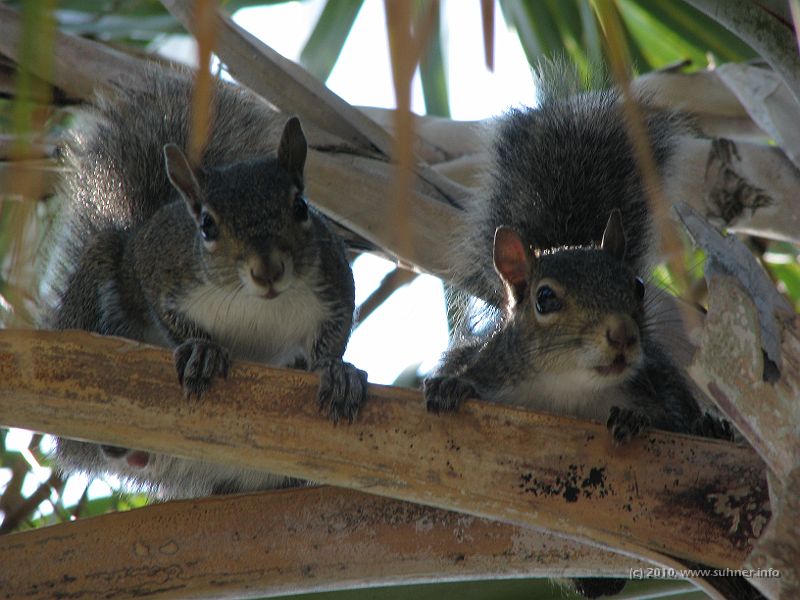 IMG_3017.JPG - ...no comment...