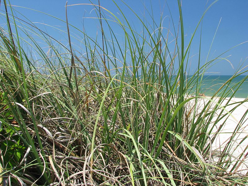 IMG_3053.JPG - Warm, sunny weather and cool, refreshing fresh water